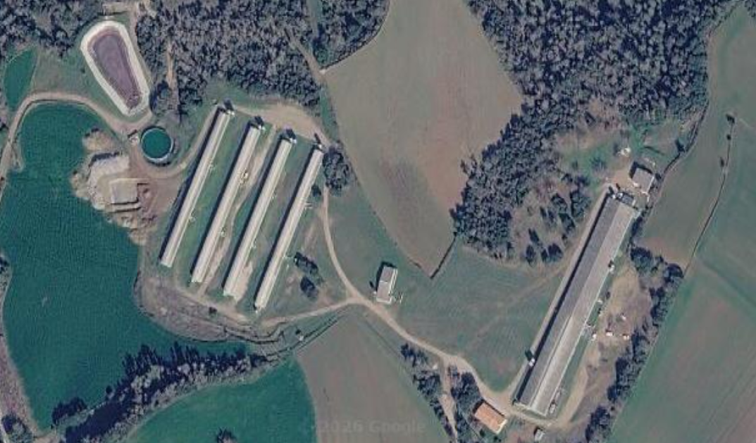 satelital view of the pigs farm